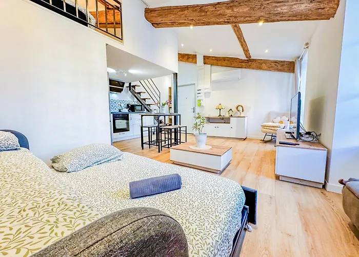 Duplex D Exception Au Coeur De Clermont-Ferrand Apartment photo